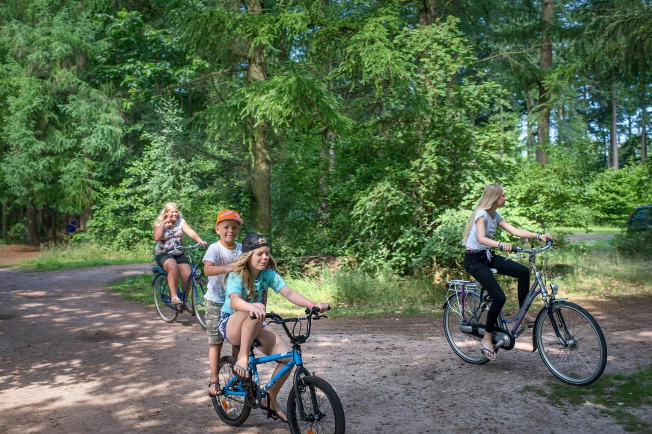 Rcn Vakantiepark De Roggeberg Апелсха Екстериор снимка